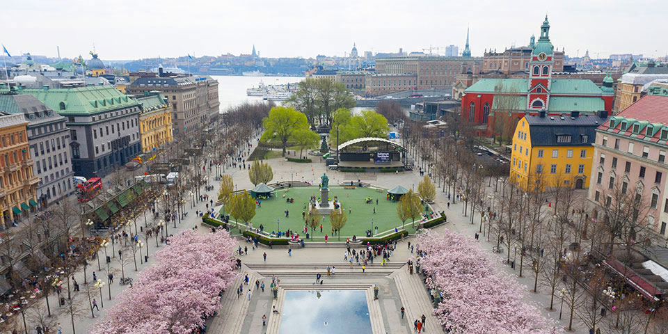 The park Kungsträdgården