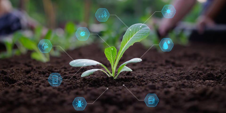 A plant is growing, digital icons are surrounding the plant. 