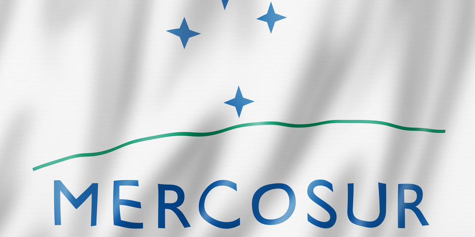 Mercosurs flagga