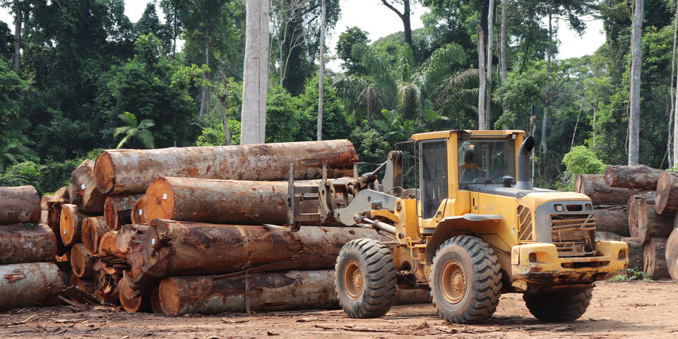 truck lifting timber